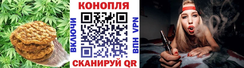 цена наркотик  Зерноград  Cannafood конопля 