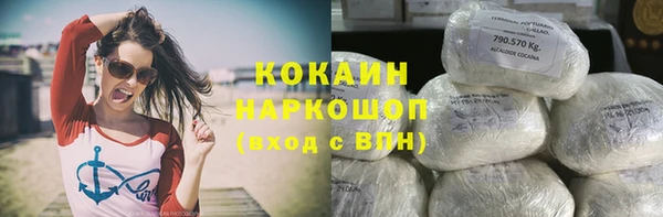 ешки Алзамай