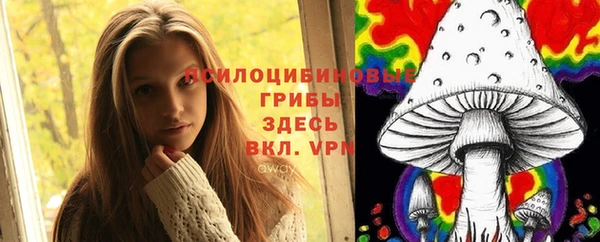 мдпв Семёнов
