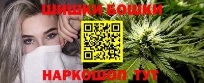 индика Ливны