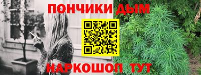 индика Ливны