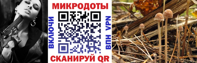 Псилоцибиновые грибы GOLDEN TEACHER  Зерноград 