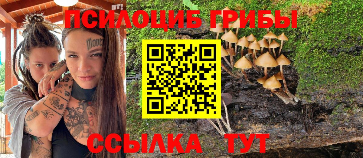 Псилоцибиновые грибы ЛСД Зерноград